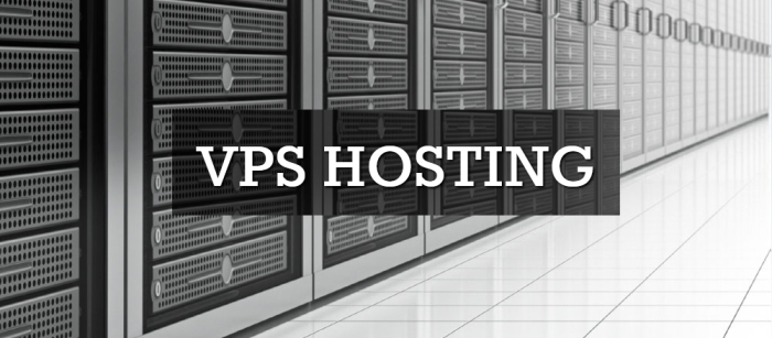 VPS Hosting Plan