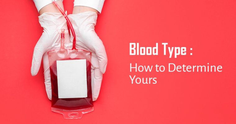 Blood Type: How to Determine Yours