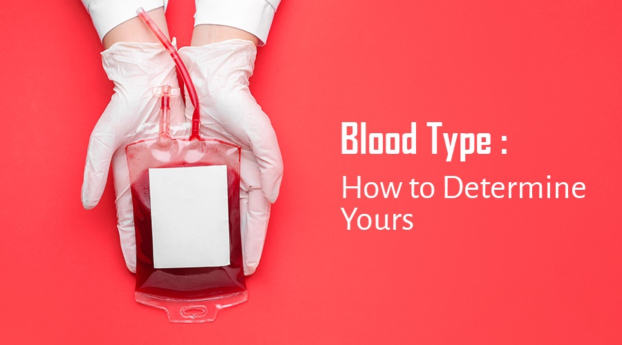 Blood Type: How to Determine Yours