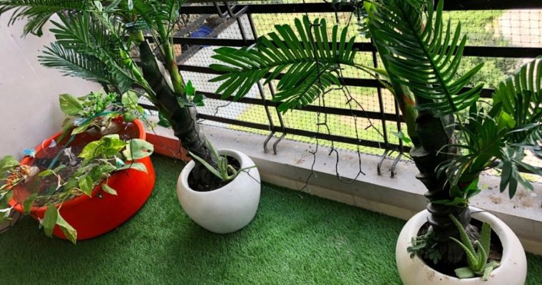 How to Décor Balcony? – Balcony Décor Ideas