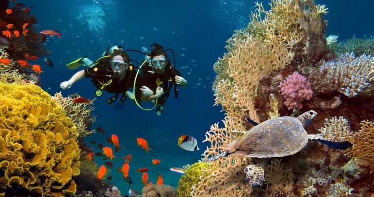 Best and Thrilling Scuba Diving Sites in Maldives