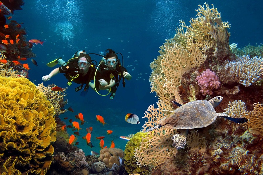 Scuba Diving in Maldives for Breathtaking Experience - Sahil Popli