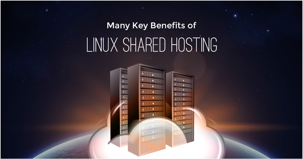 Many Key Benefits of Linux Reseller Hosting