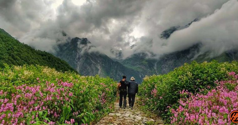 A Mesmerizing Journey to the Sublime Valley of Flowers