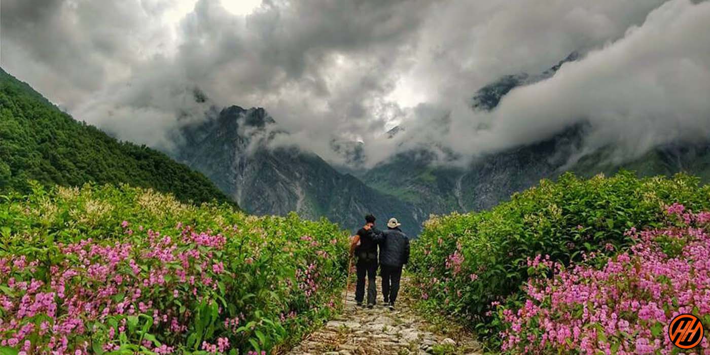 A Mesmerizing Journey to the Sublime Valley of Flowers