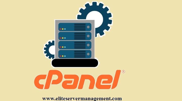 What Are Cpanel Server Support?