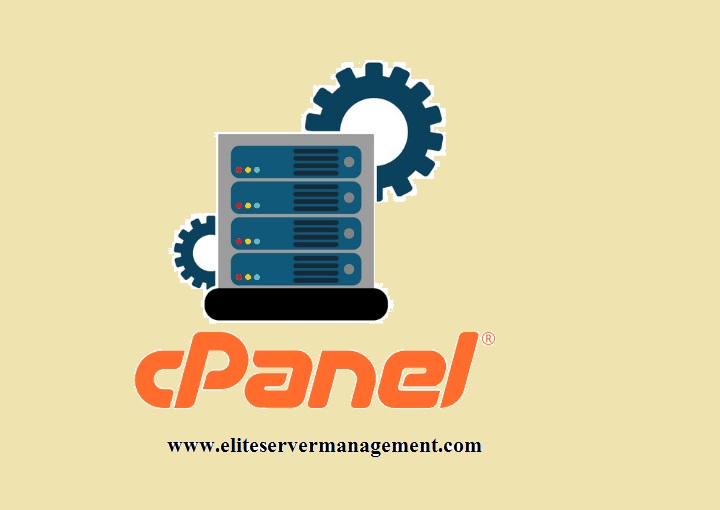 What Are Cpanel Server Support?