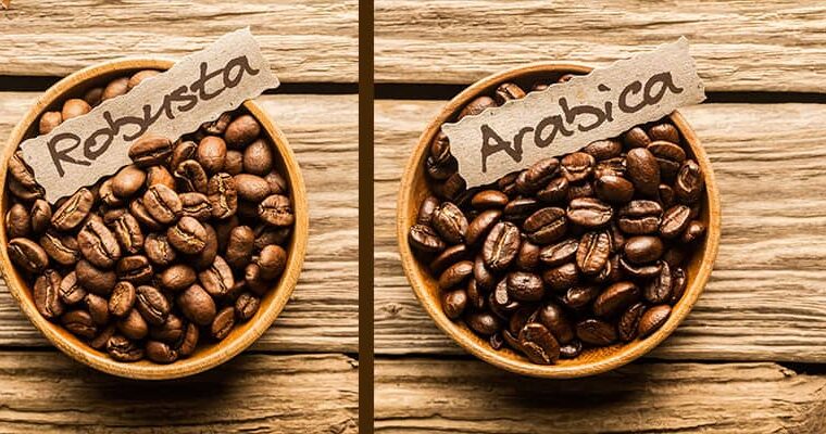 The Ultimate Guide to Arabica and Robusta Coffee Types