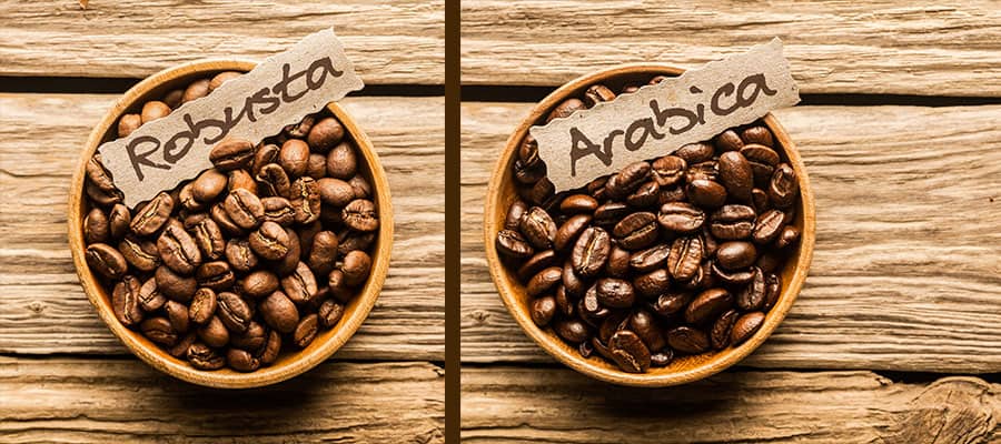The Ultimate Guide to Arabica and Robusta Coffee Types