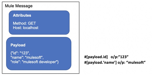 Payload data access