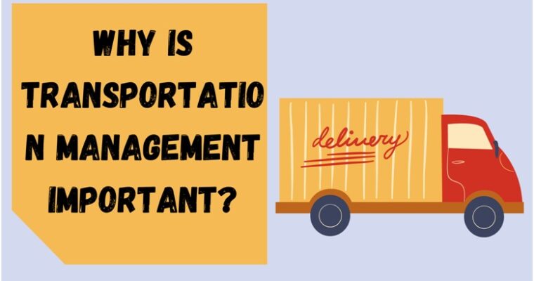 Why Is Transportation Management Important?