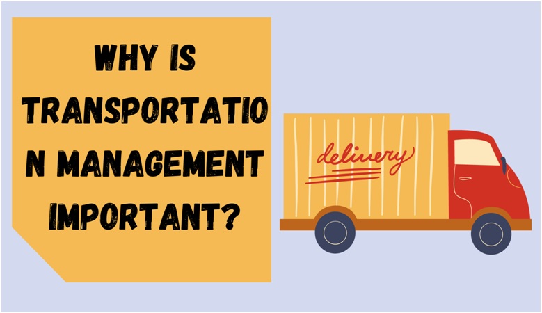 Why Is Transportation Management Important?