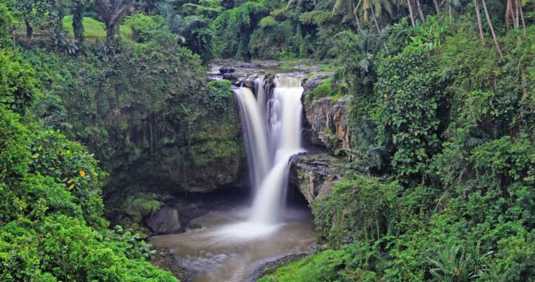 Exciting Day Trips From Ubud You Never Want to Miss