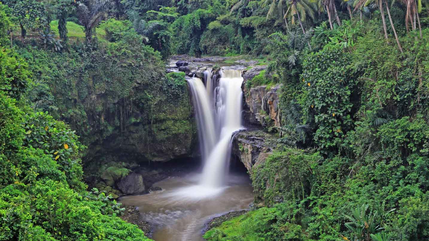 Exciting Day Trips From Ubud You Never Want to Miss