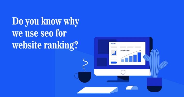 Do You Know Why We Use SEO for Website Ranking?