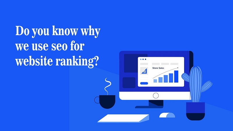 Do You Know Why We Use SEO for Website Ranking?