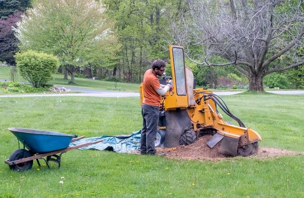 Top 3 Benefits Of Hiring Professional Stump Grinding Services
