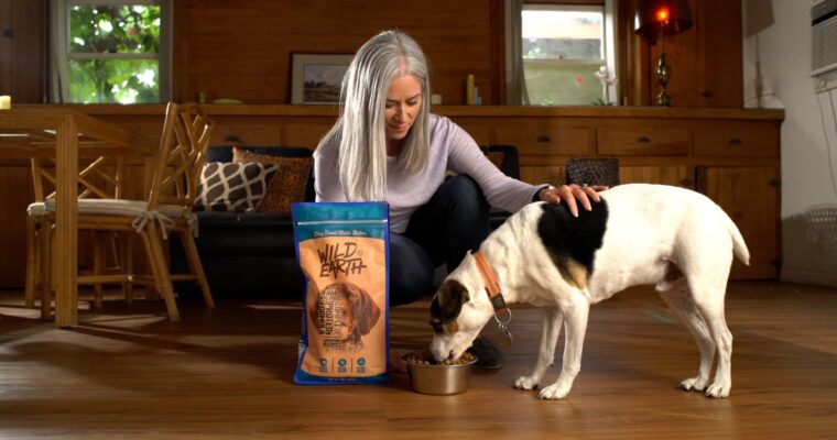 The Best Organic Dog Foods For Dogs