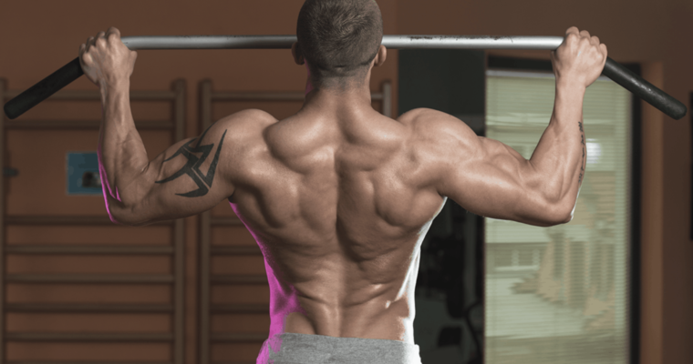 10 The Best Pullup Bars For Back Workout