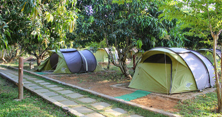 Dandeli Jungle Camp- Stay in the Wild