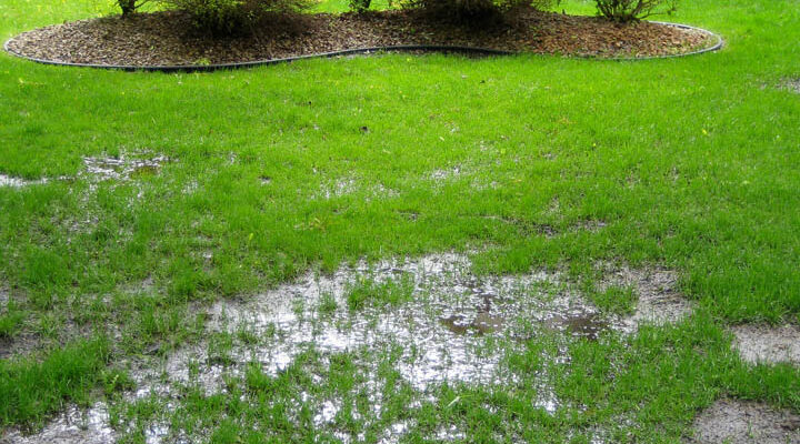 How to Reduce the Impact of Floods By Using Landscaping Best Practices