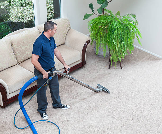 Tips for choosing the right carpet cleaning company
