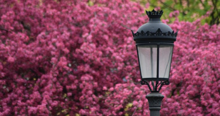 5 Common Types of Outdoor Lighting Fixtures