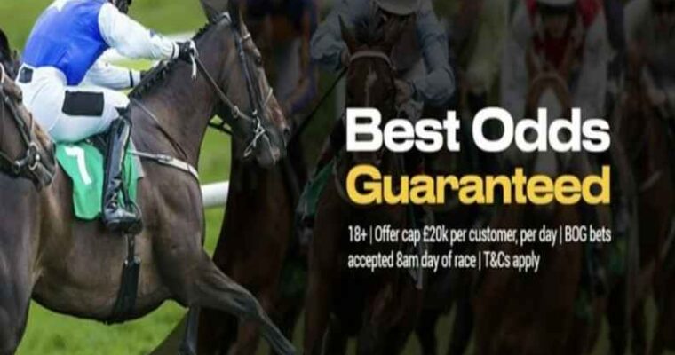 Best Online Horse Betting Sites 2022