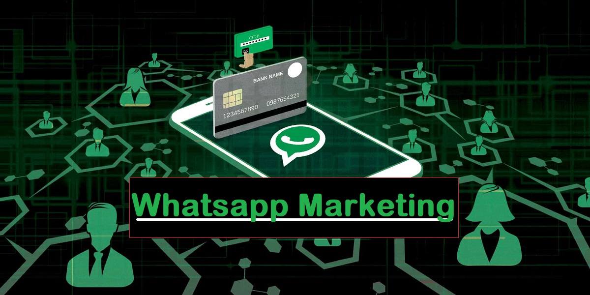 WhatsApp Marketing Service Company: How Do I Choose?