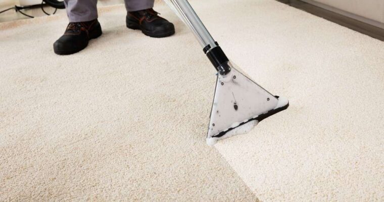 Where Can You Find Quality Carpet Cleaning Services?
