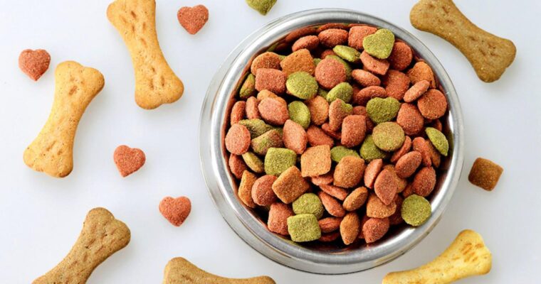 How to Find the Best Rated Online Pet Food Stores in India