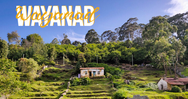 8 Reasons to make Wayanad your next Backpacking