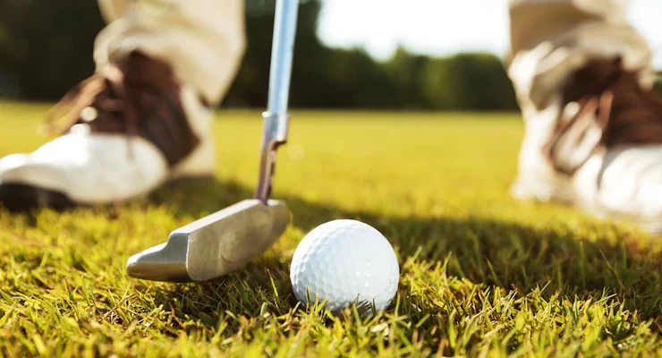 Best Mini Golf Courses in the U.S
