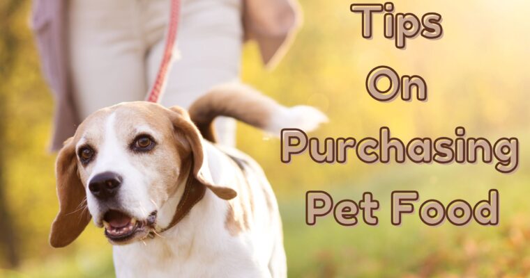 Tips On Purchasing Pet Food