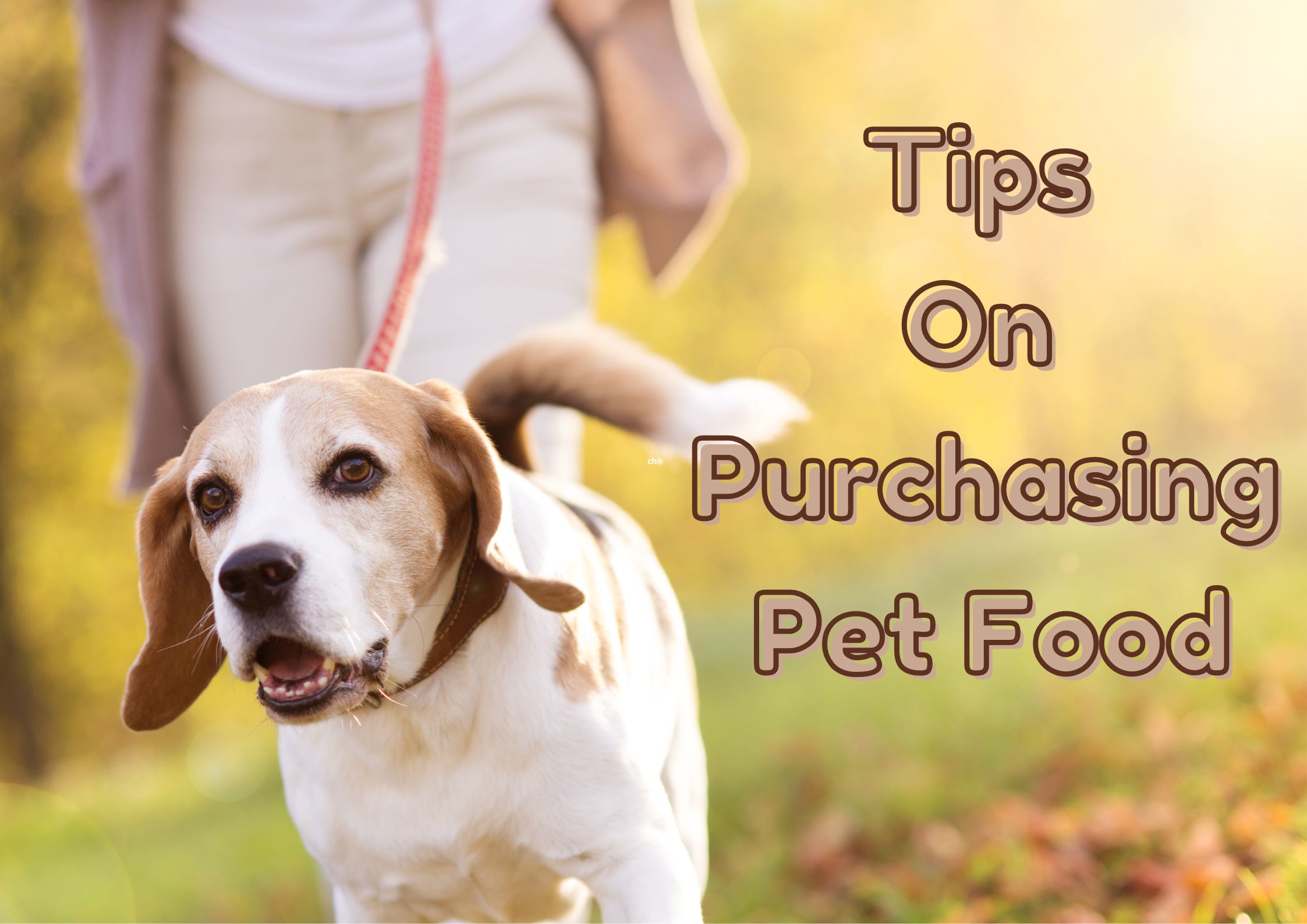 Tips On Purchasing Pet Food