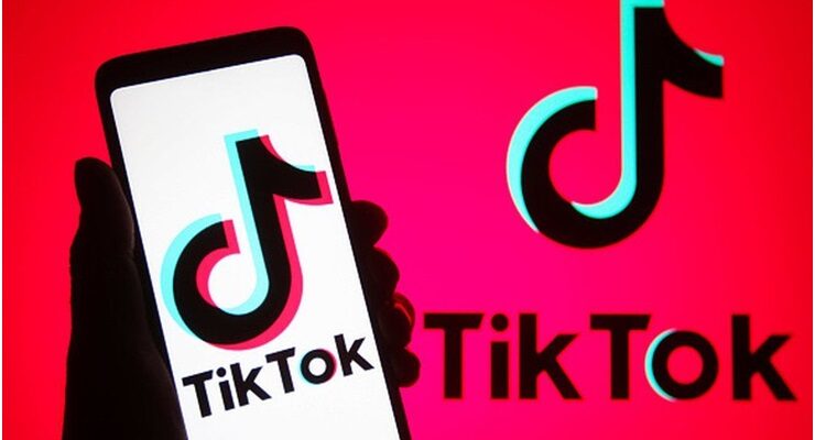 Download TikTok Videos Easily with SnapTik