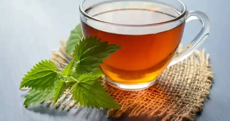 Green Tea Has Numerous Medical Advantages