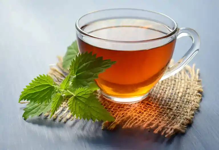 Green Tea Has Numerous Medical advantages