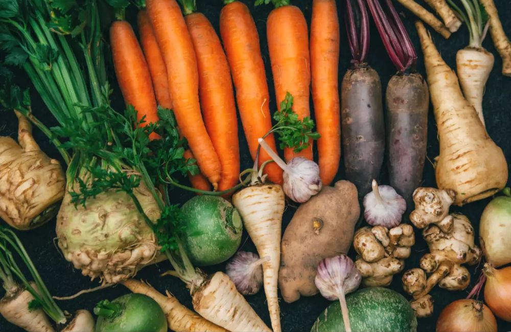 Root Vegetables: Health Benefits Of Root Vegetables