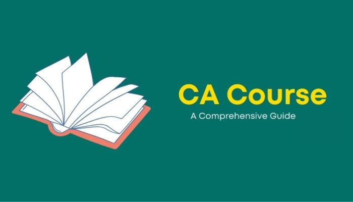 Chartered Accountant/CA Course: A Comprehensive Guide 2023