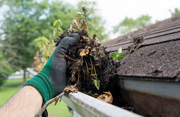 Why You Should Think More About Roof Cleaning