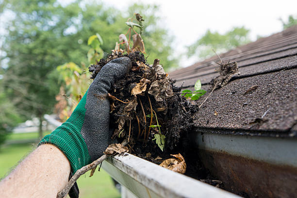 Why You Should Think More About Roof Cleaning