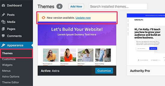 How often should I update my WordPress Theme?