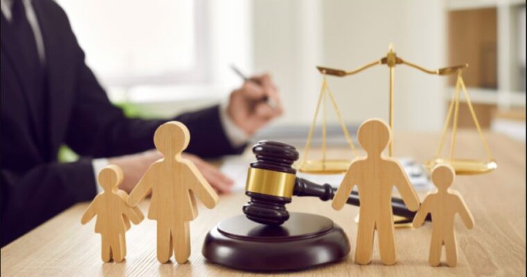 Domestic Law and Child Custody Issues