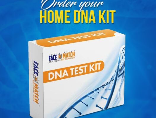 Best DNA Testing Kits Of 2023