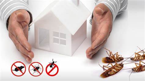 Why It’s Important to Work With Pest Control Experts
