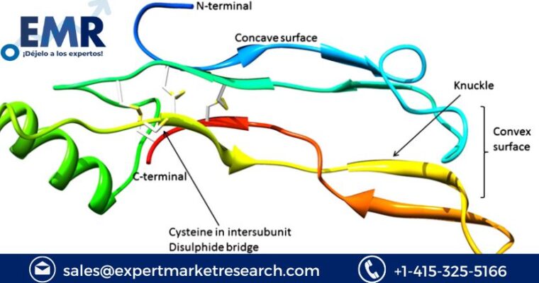 Global Bone Morphogenetic Proteins Market Size To Increase At A CAGR Of 2.3% In The Forecast Period Of 2023-2028