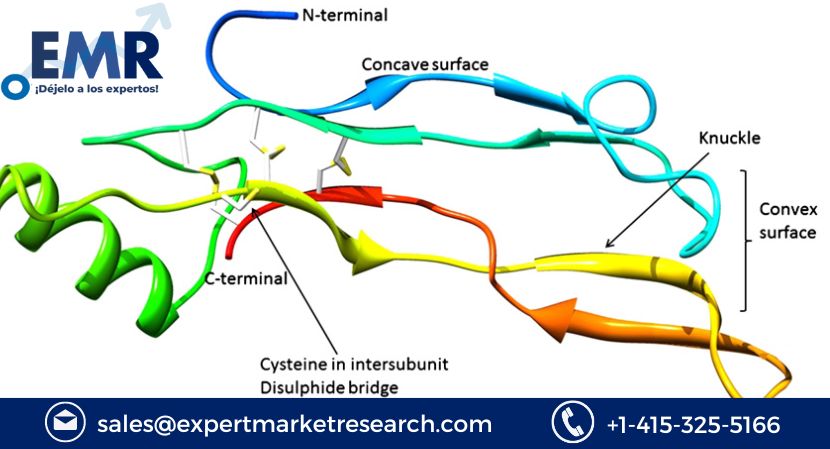 Global Bone Morphogenetic Proteins Market Size To Increase At A CAGR Of 2.3% In The Forecast Period Of 2023-2028