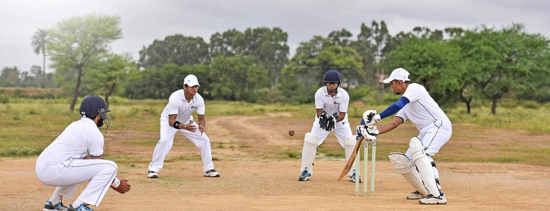 The Importance of Activities That Build Cricket Office Near Me