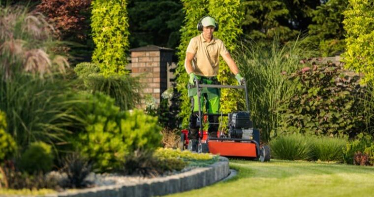 Affordable and Professional Landscaping Services in Toronto